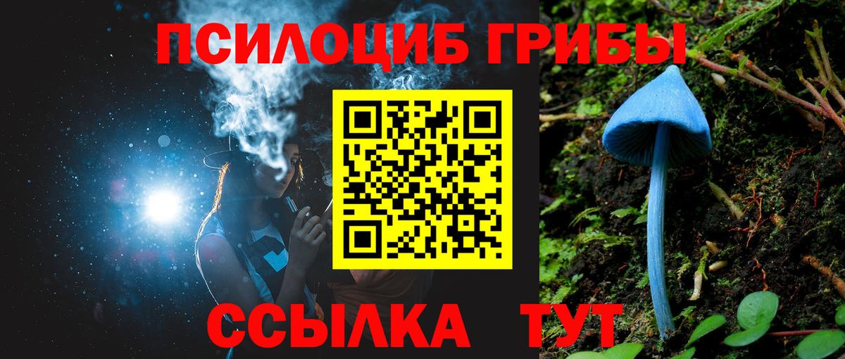 Псилоцибиновые грибы ЛСД  Вход с VPN  Псилоцибиновые грибы прущие грибы  Курчалой 